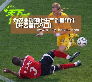 开云官方登录