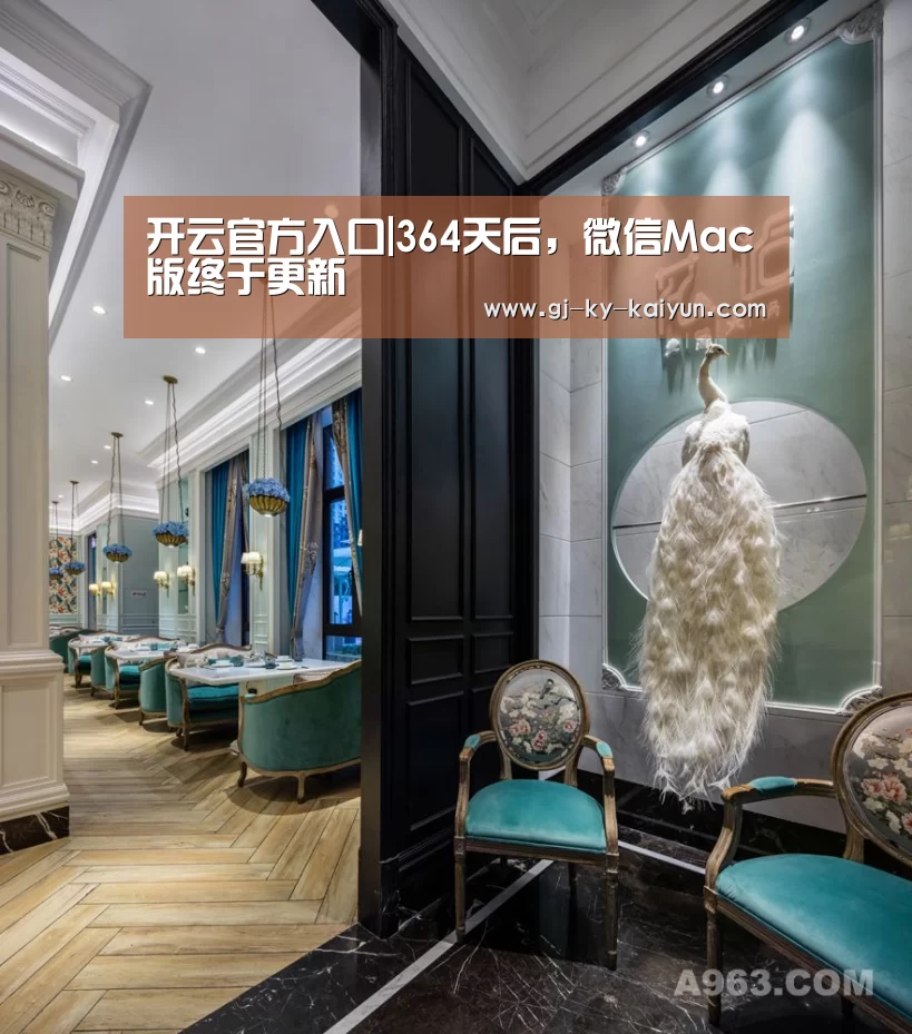 开云官方入口