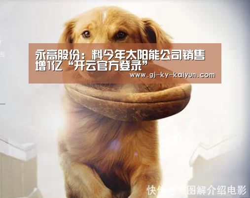 永高股份:料今年太阳能公司销售增1亿“开云官方登录”(图1) 开云官方登录