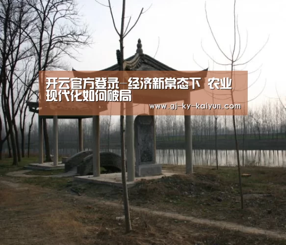 开云官方登录-经济新常态下 农业现代化如何破局(图2) 开云注册登录入口
