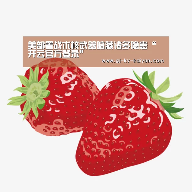 美部署战术核武器暗藏诸多隐患“开云官方登录”(图4) 开云官方入口